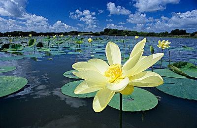 《Nothing Together》上架Steam 竞技版沙雕发呆新游