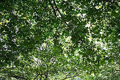 大宇资讯模拟经营游戏《拾光酒館》Steam页面上线 发售日期待定