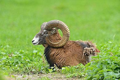 像素游戏《格式塔：蒸汽与煤渣》5月22日发售