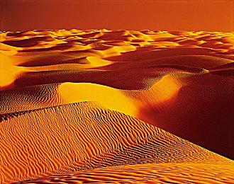 耗时一年 索尼公司正式完成千亿日元股票回购计划